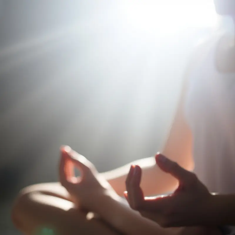 A person meditating in a forest, representing spiritual evolution through meditation.